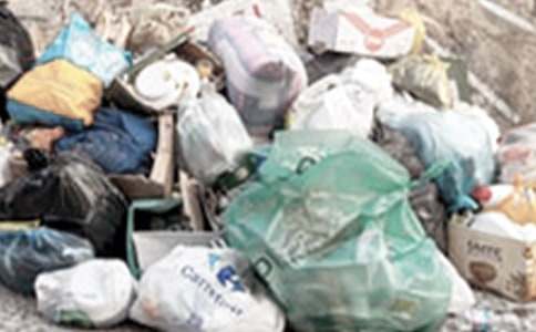 清理綠化帶垃圾簡報(必備12篇)