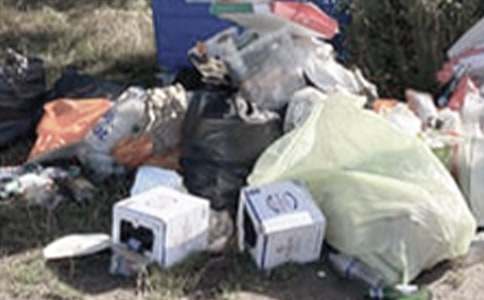 [��(y��u)]�����ӵ�������(ji��n)��(b��o)15ƪ