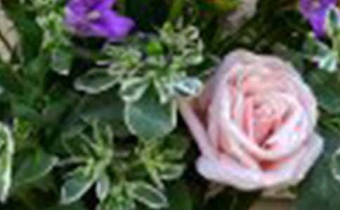 õ�廨�Z��ȫ