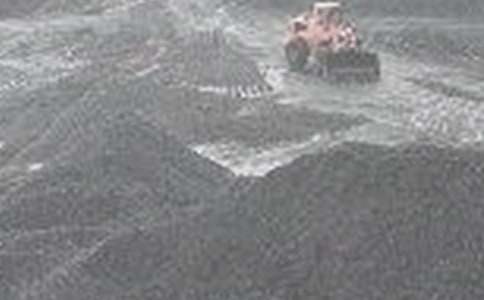 ú�V���g(sh��)�T���������