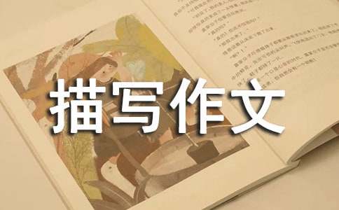 關(guān)于小雞描寫作文匯總十篇