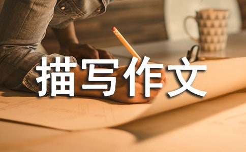 ��(sh��)�õ�С�u�茑(xi��)����8ƪ