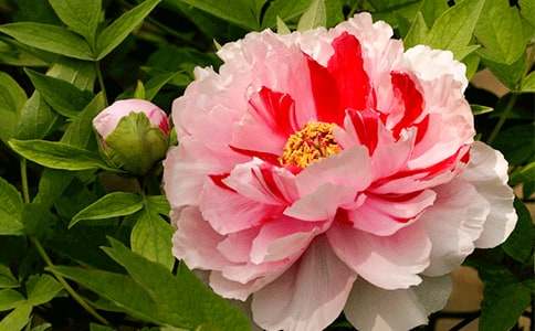 �~ĵ�����Z