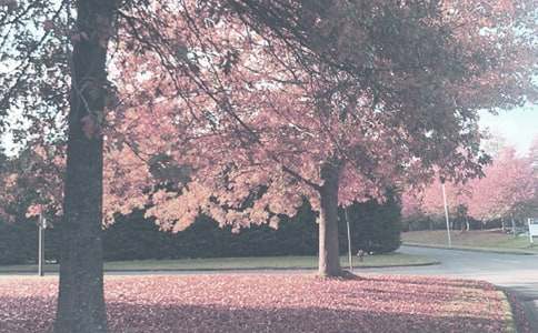 [����]�＾�ЌW(xu��)����Ӌ(j��)������