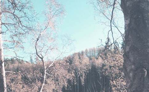 С��M�＾�W�ڱ��̹���Ӌ����ͨ��25ƪ��