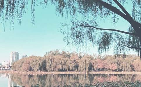 五年級秋季工作計劃合集五篇