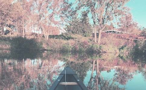 秋季大班的工作計劃