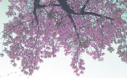 �＾С�๤��Ӌ(j��)���ϼ���ƪ