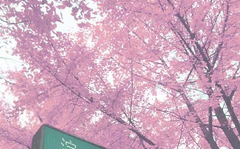 С���＾��(g��)�˹���Ӌ(j��)��3ƪ