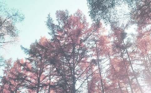 秋季小班工作計劃八篇