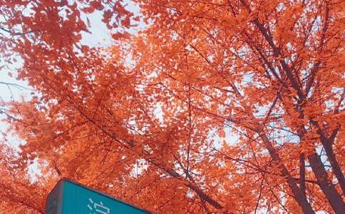 �������Մٴ���_�����S�P