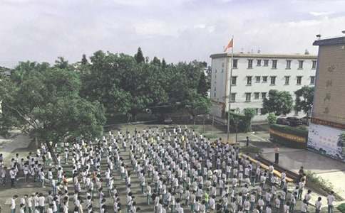 [��(y��u)]С�W(xu��)��һ�W(xu��)��ɢ�W(xu��)��Y����15ƪ