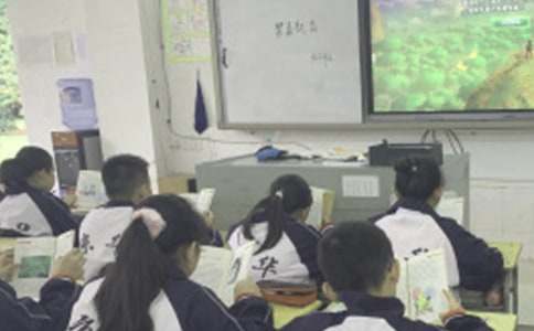 上課不玩手機保證書(15篇)