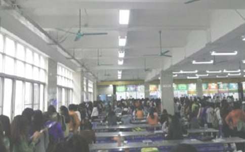 ʳ�ù���T��(g��)������(b��o)��