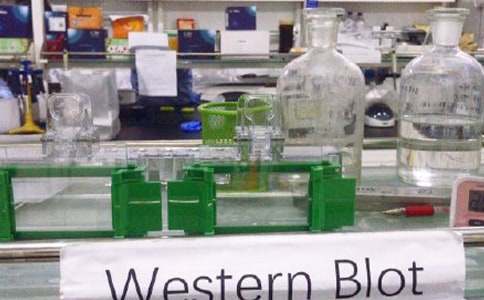 物理實驗室工作計劃