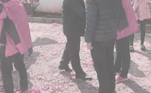 ����̽�HՈ�ٗl