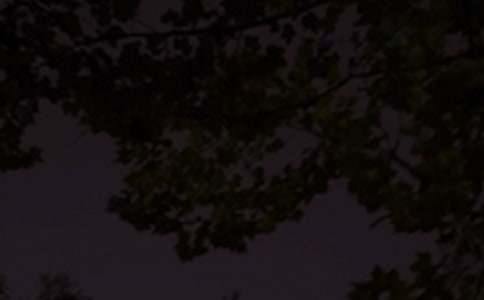 最新溫馨晚安寄語45句