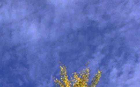 關(guān)于暖心午安祝福語大全(通用100句)