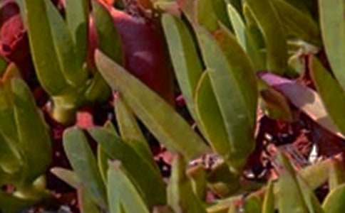 ��(j��ng)��ů���簲ף���Z(y��)��ȫ�����x80�䣩