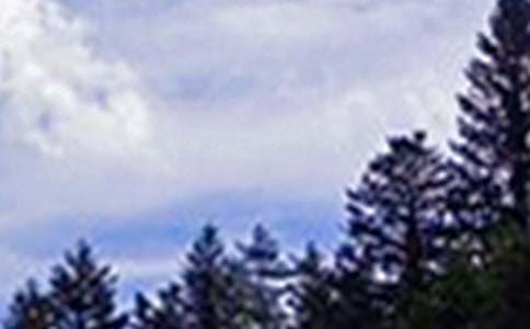 關于暖心午安祝福語80句