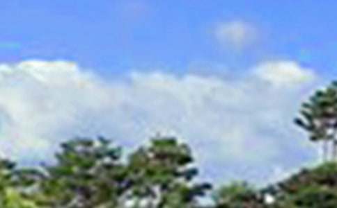 暖心午安祝福語40句