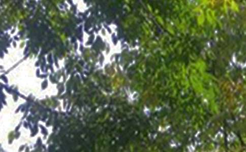 經(jīng)典暖心午安祝福語大全(通用80句)