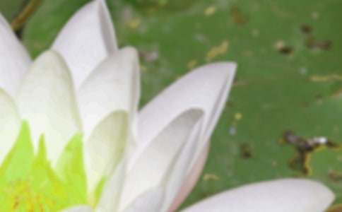 �������(d��ng)�߄�������ͨ��5ƪ��