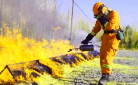 (優(yōu)選)消防安全標(biāo)語(yǔ)