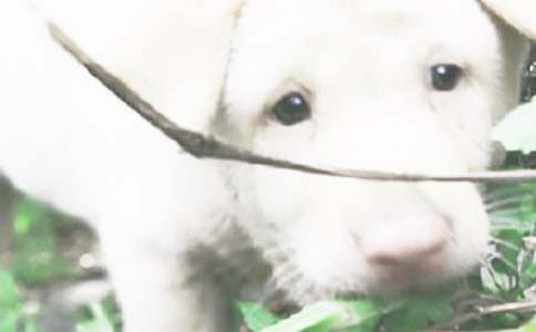 ��С���W�С��m(x��)�����ģ�ͨ��26ƪ��