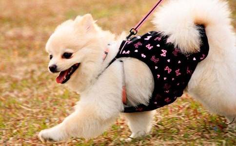 ���꼉(j��)С���W(xu��)���m(x��)��(xi��)���ģ�ͨ��27ƪ��