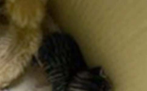 С؈��(xi��)���ľ��x15ƪ