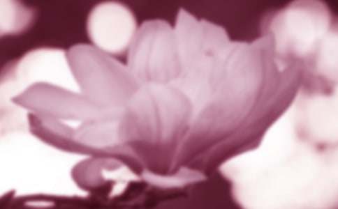 ���m�����Z��ʲô-�r���Y�x