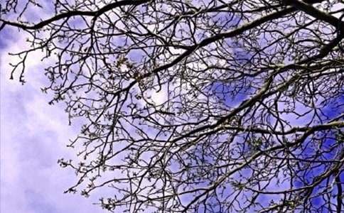 �����簲ף���Z(y��)�����x35�䣩