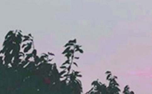 ����(sh��)�á�2023�����õ��簲ף���Z(y��)�Z(y��)䛴�ϼ�57��