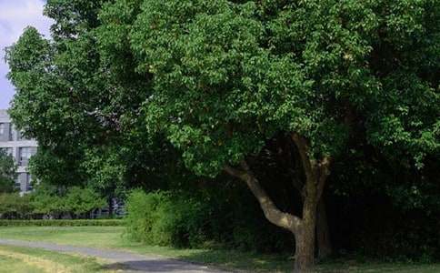 ��(j��ng)������Ȧ�簲ף���Z35�侫�x