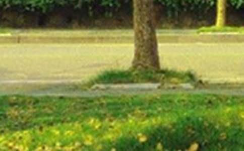 美好的早安微信祝福語集合63條