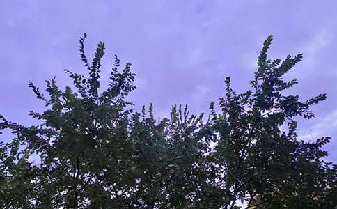 ���õ��簲΢��ף���Z27��