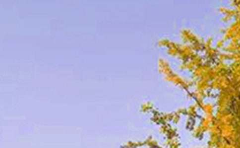 2023��ͨ�����õ��簲΢��ף���Z��ϼ�65��