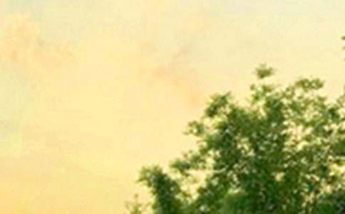 ��(j��ng)�����õ��簲΢��ף���Z(y��)20��