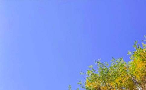 最新暖心早安祝福語(yǔ)匯總85句