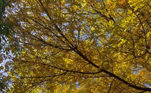 有關(guān)美好的早安微信祝福語摘錄59句