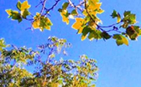 推薦朋友圈早安祝福語匯總175句精選