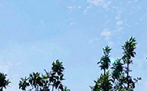 �����á����õ��簲QQף���Z�R��51�l