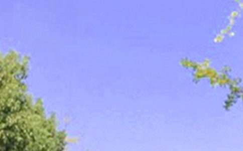 常用個(gè)性早安祝福語(yǔ)185句精選