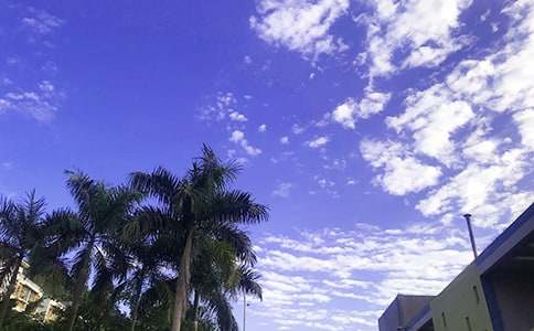 有關(guān)美好的早安微信祝福語(yǔ)摘錄59條