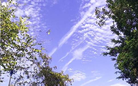 通用美好的早安祝福語(yǔ)語(yǔ)錄45條