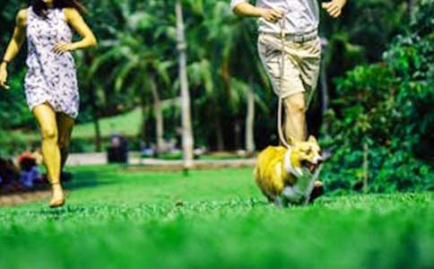 高中生活周末隨筆