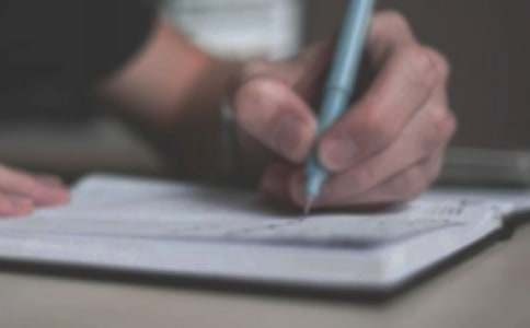 【精選】小雞寫作文300字匯編十篇