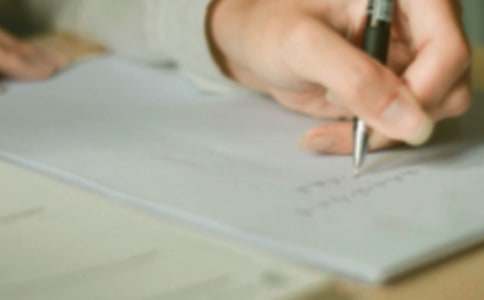 【必備】小雞寫作文7篇