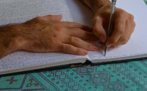 【精選】小雞寫作文集錦8篇